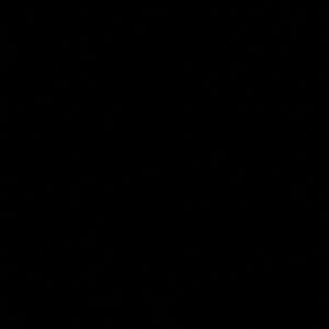 Meet your Posher, Devin